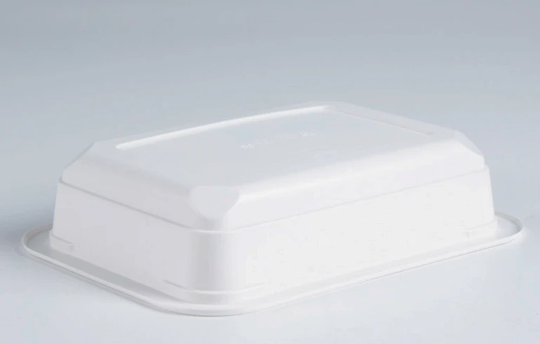 product-768-489 disposable lunch box