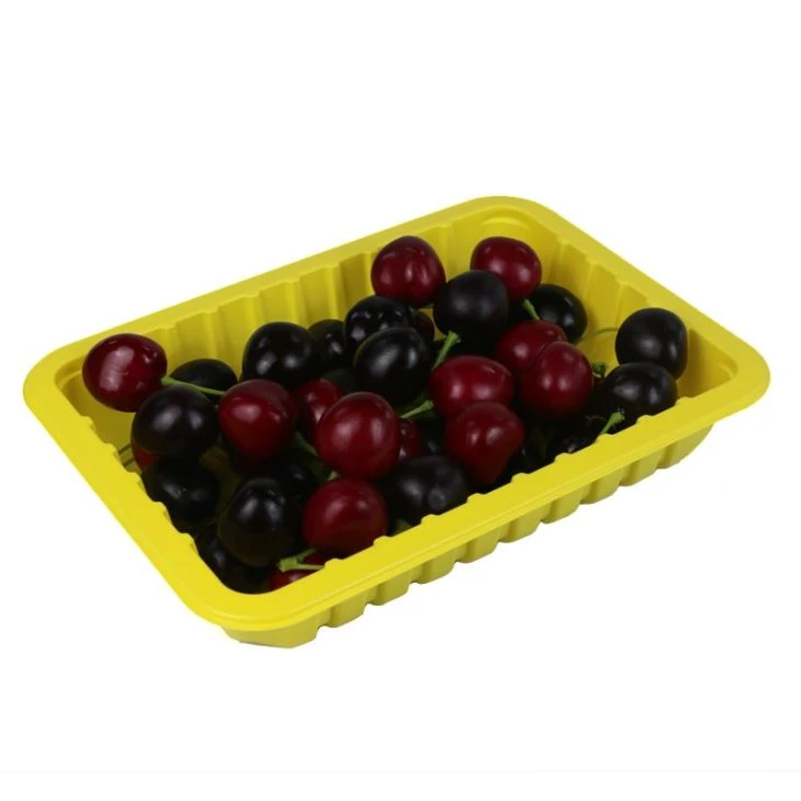Disposable Food Tray