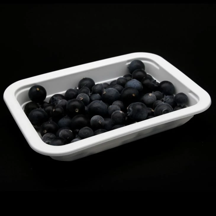 Plastic Food Tray For Packaging Fresh Fruit