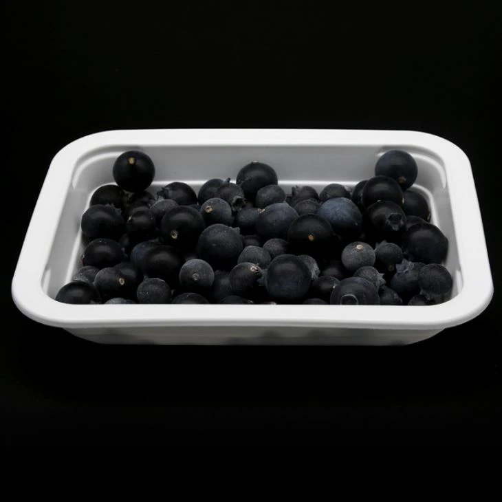 Plastic Food Tray For Packaging Fresh Fruit