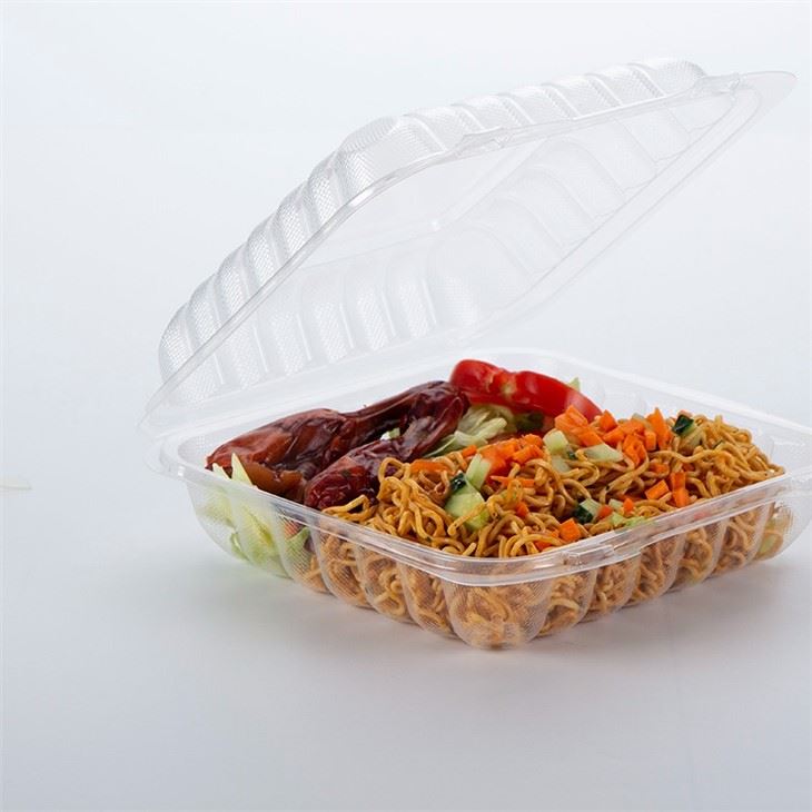 9x9 PP Hinged Container