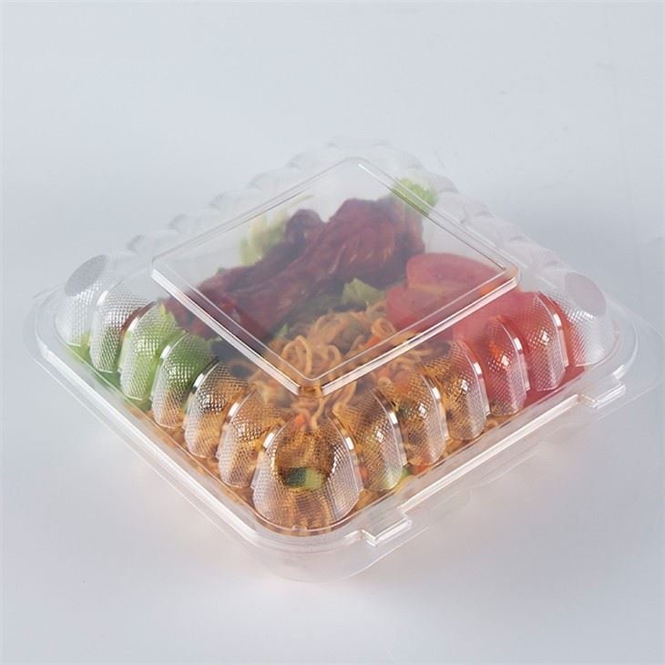 9x9 PP Hinged Container