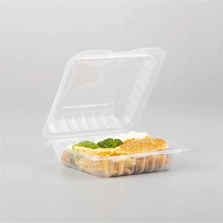 Clear Plastic Food Container