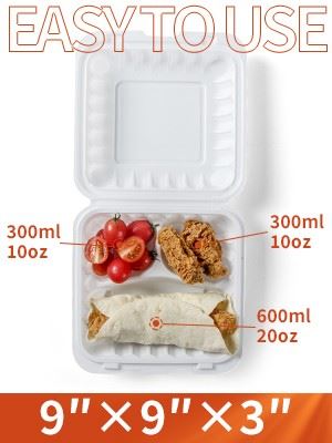 Disposable Biodegradable Food Container