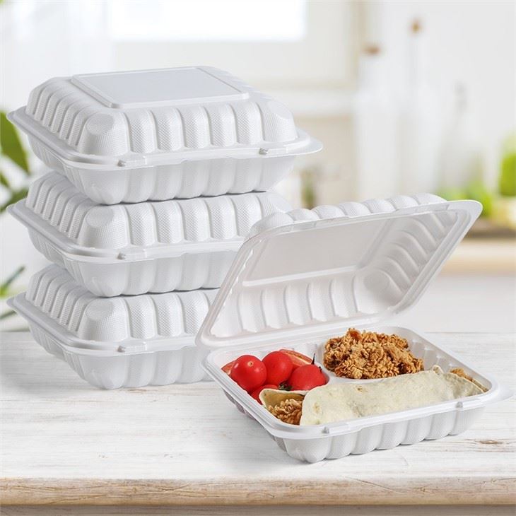 Mineral Plastic Take Out Container