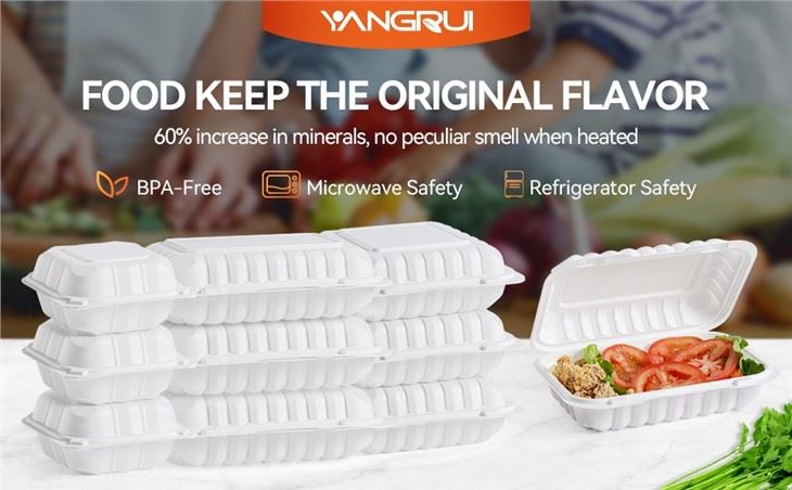 Packaging Box For Food