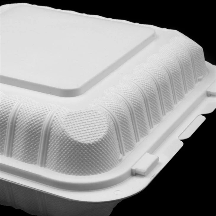 Plastic Takeaway Food Box