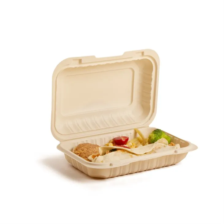 Thermoform 9x6inch Microwavable PP Manje Veso jetab Take Away soti plastik Bento bwat manje midi
