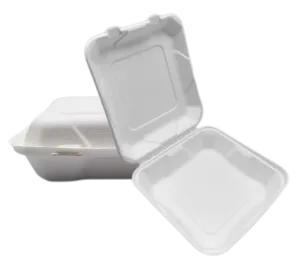 8'' Bagasse Pou Ale Resipyan Manje