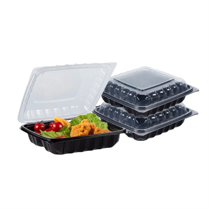 Bento Box To Go Containers