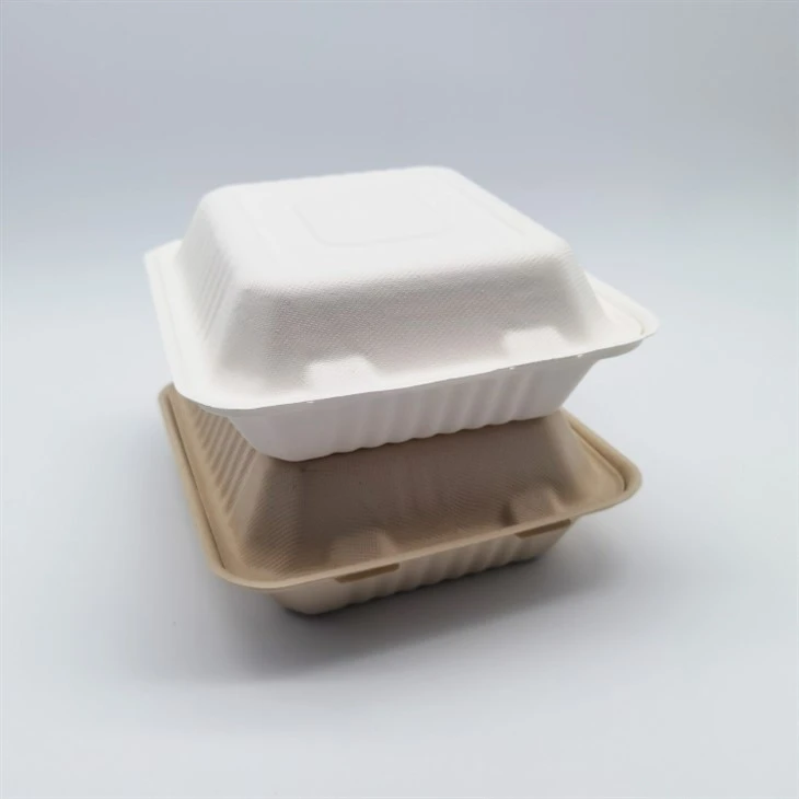 Biodégradables Sugarcane Bagasse Fibre Pulp Paper Takeout Container