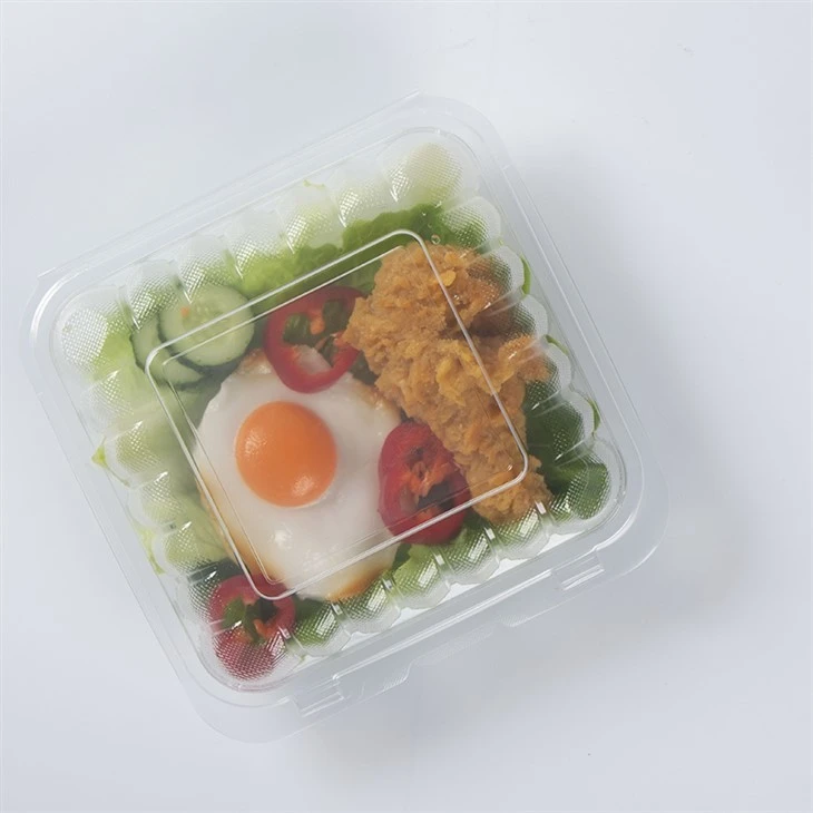 Take Away Manje jetab Bento Lunch Box