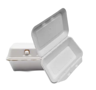 To Go Containers Bagasse