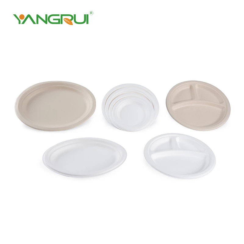 Bagasse wonn plak