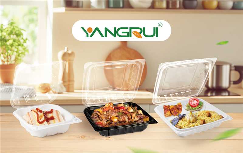 Hinged Clamshell  Food Containers