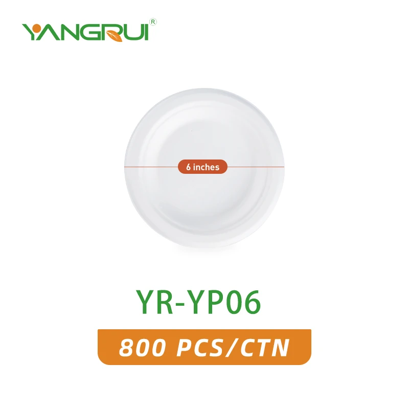 YR-YP06