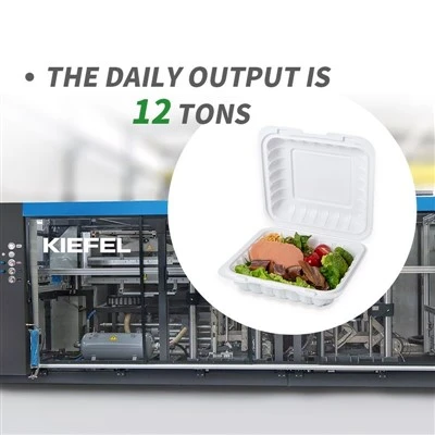 To-go Boxes Bulk